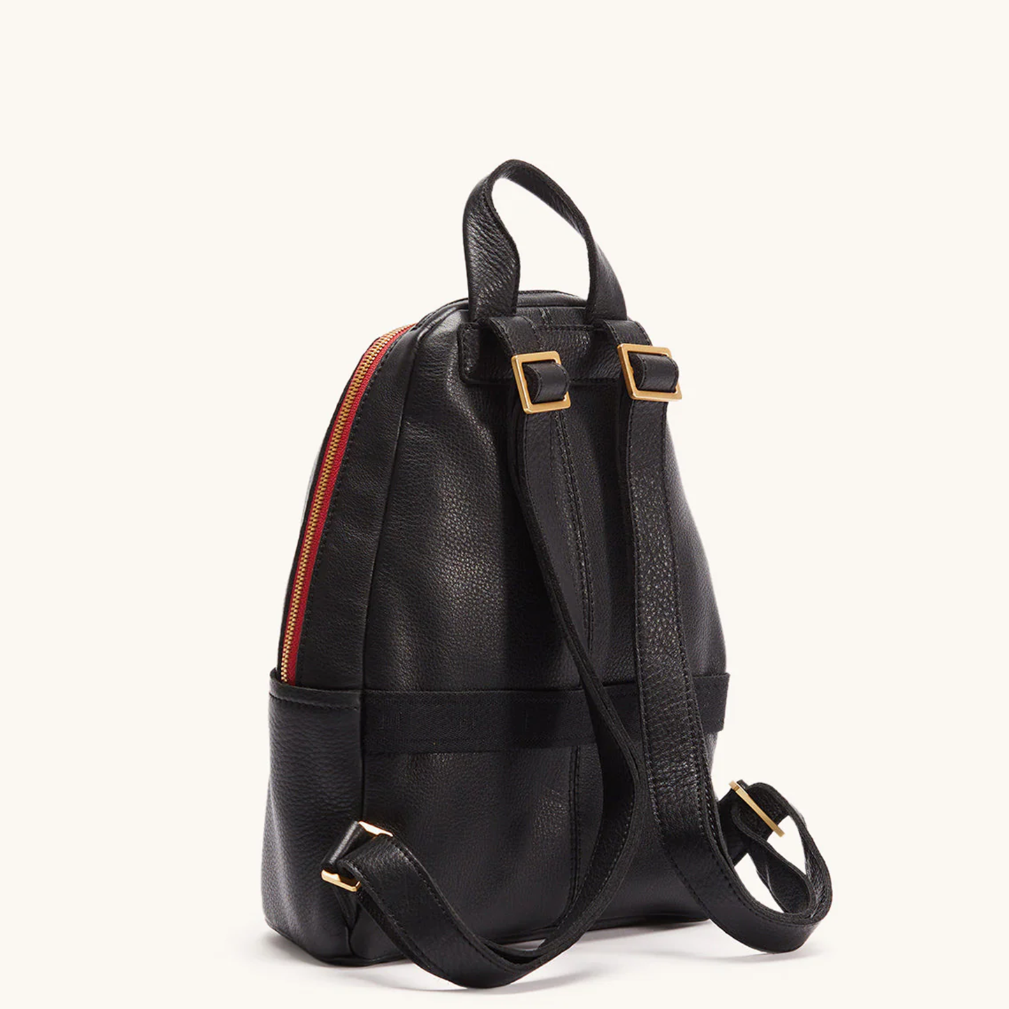 Hammitt Hunter Med Backpack