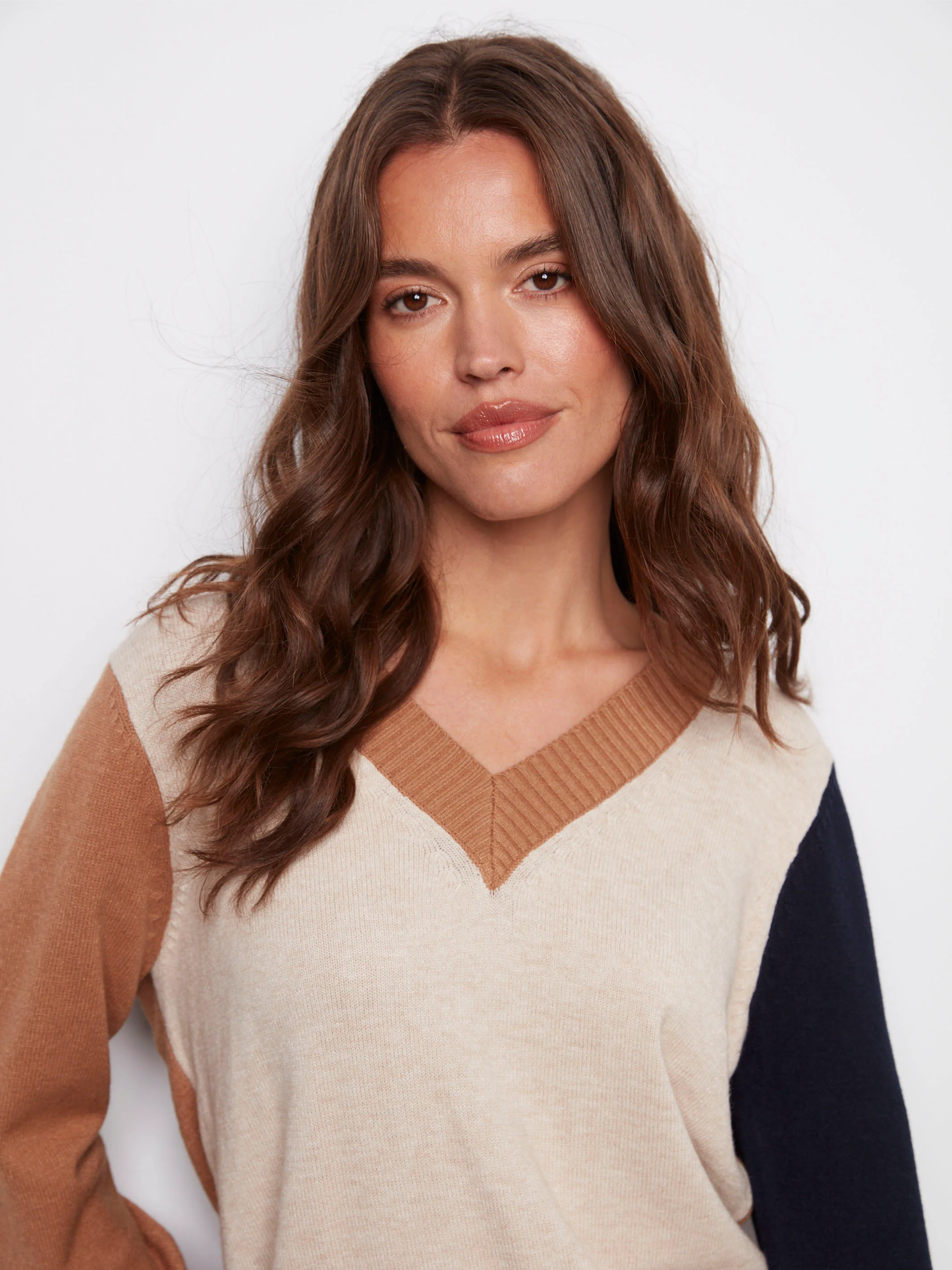 Charlie B Colorblock V-Neck Sweater C2853-736A