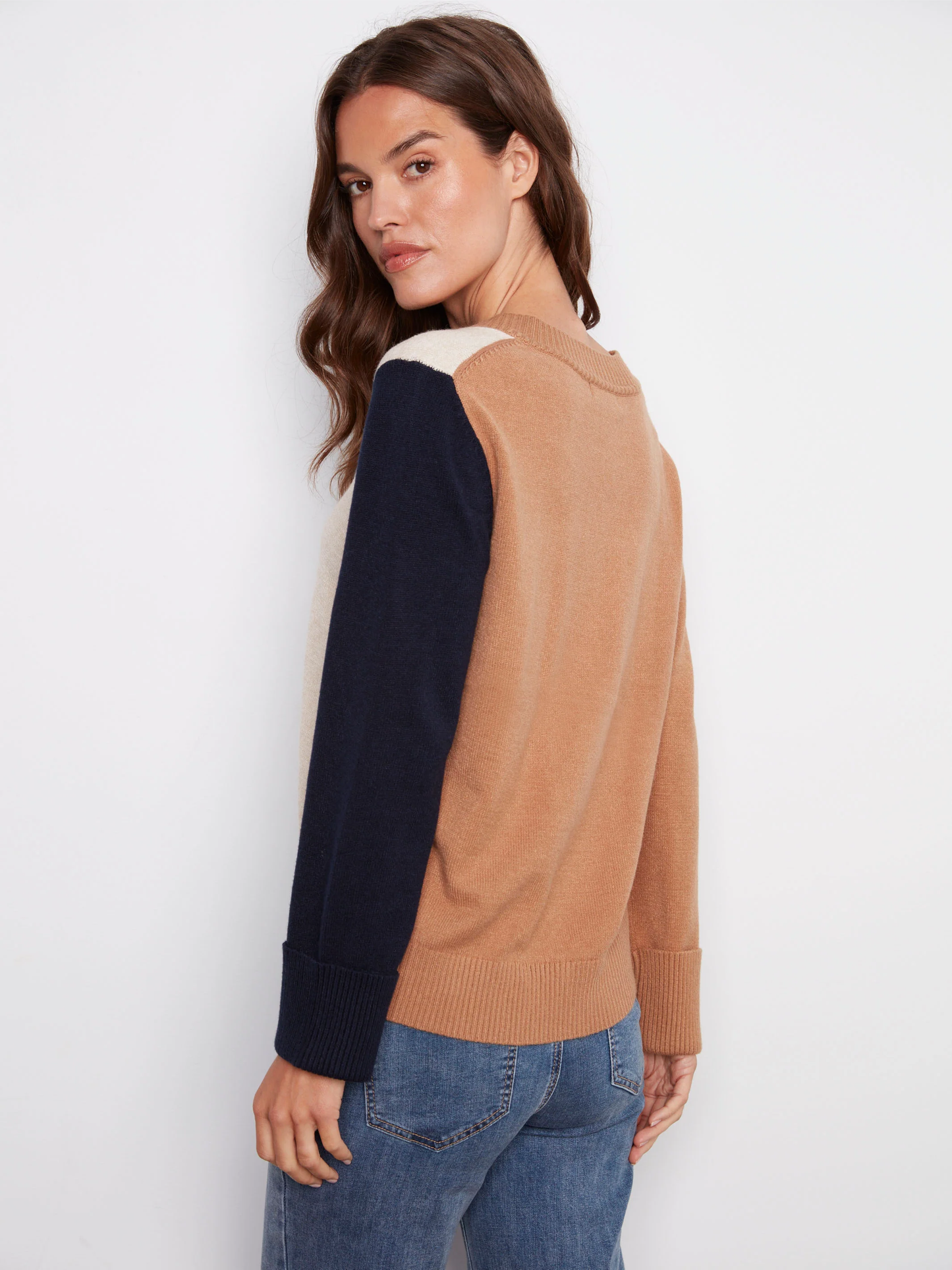 Charlie B Colorblock V-Neck Sweater C2853-736A